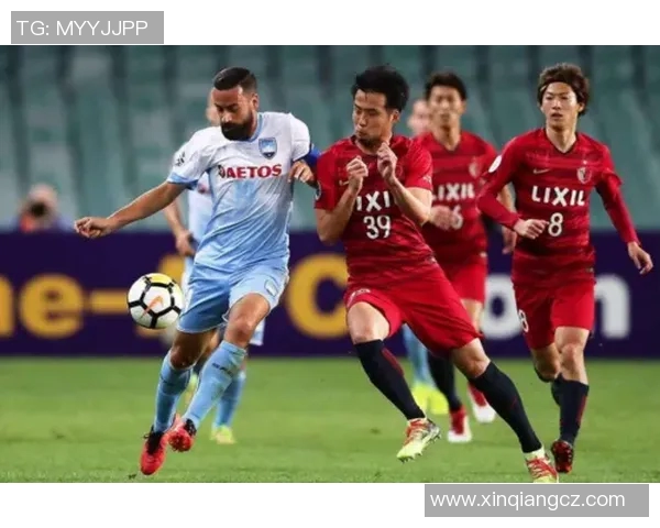 水户蜀葵与福冈黄蜂历史交锋记录分析及战绩回顾 水户蜀葵与福冈黄蜂历史交锋记录分析及战绩回顾